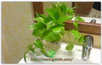 宾馆卫生间实景