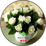 栀子花