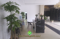 前台接待处实景